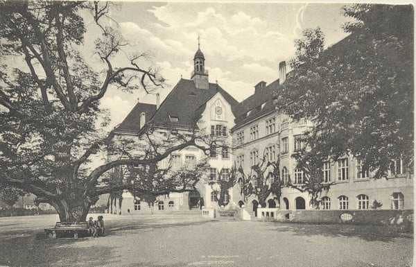 Historisches Gebäude mit großem Baum und Wolken am Himmel.